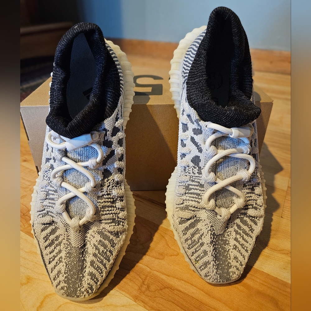 YZY 350V2 CMPCT